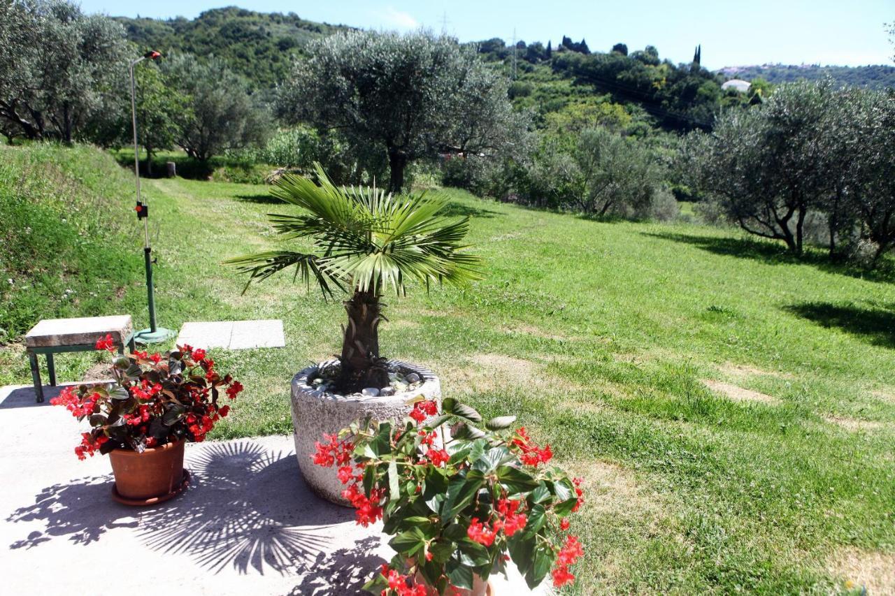 Classy Apartment With Garden View Laura Πορτορόζ Εξωτερικό φωτογραφία